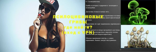 стаф Верхний Тагил