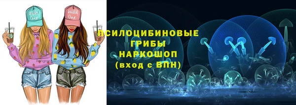 стаф Верхний Тагил