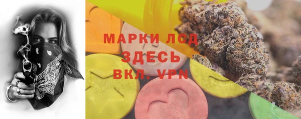 стаф Верхний Тагил