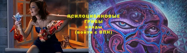 стаф Верхний Тагил