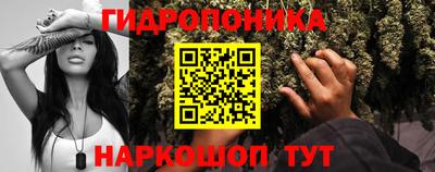 прущие грибы Балаково