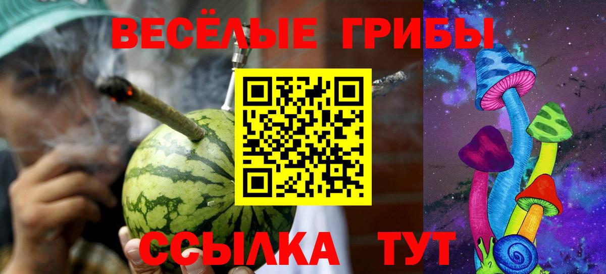 Галлюциногенные грибы GOLDEN TEACHER Воткинск